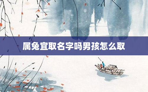 属兔宜取名字吗男孩怎么取